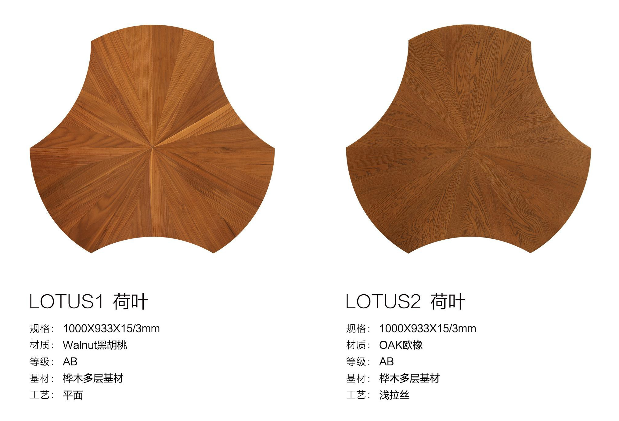 LOTUS荷叶